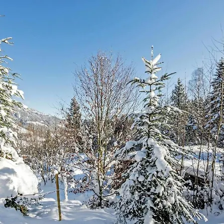 Yosi Im Brixental Chalet