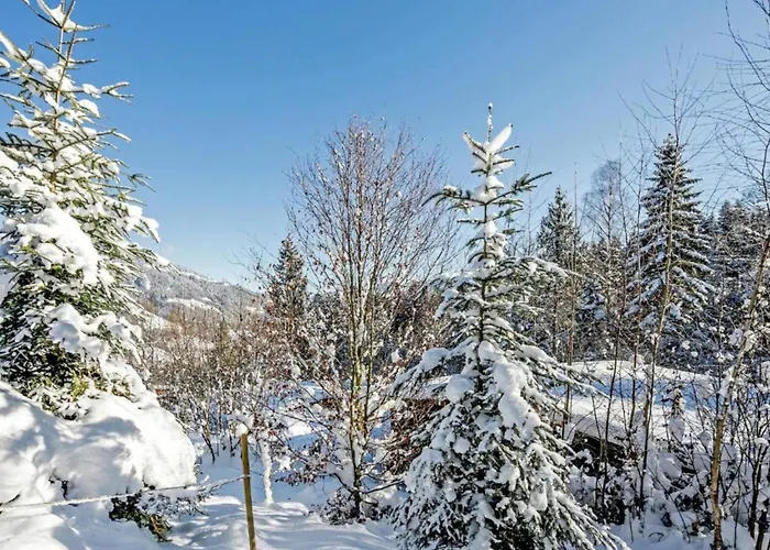 Yosi Im Brixental シャレー