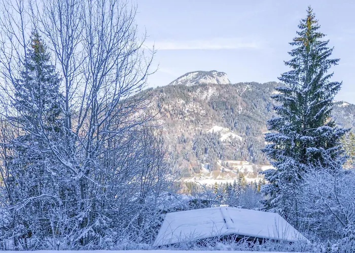 Yosi Im Brixental シャレー