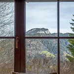 Yosi Im Brixental Wörgl
