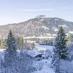 Yosi Im Brixental Alpesi faház *