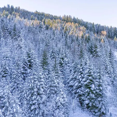 샬레 Yosi Im Brixental