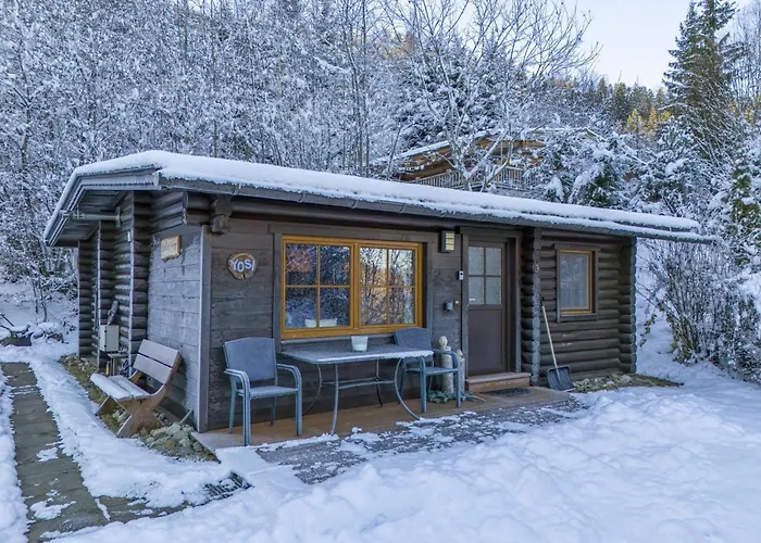 Yosi Im Brixental 沃格尔