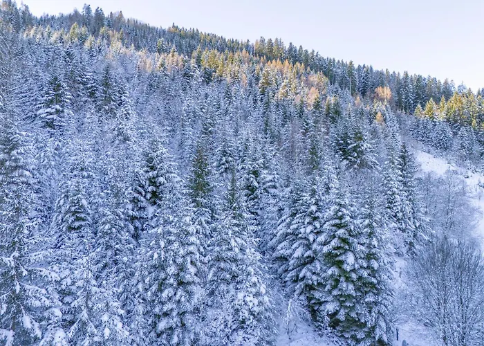 木屋 Yosi Im Brixental