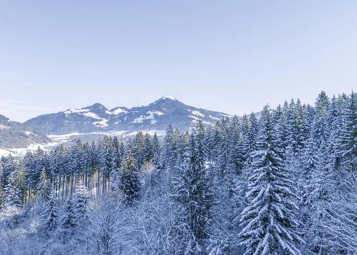 Yosi Im Brixental 木屋 沃格尔