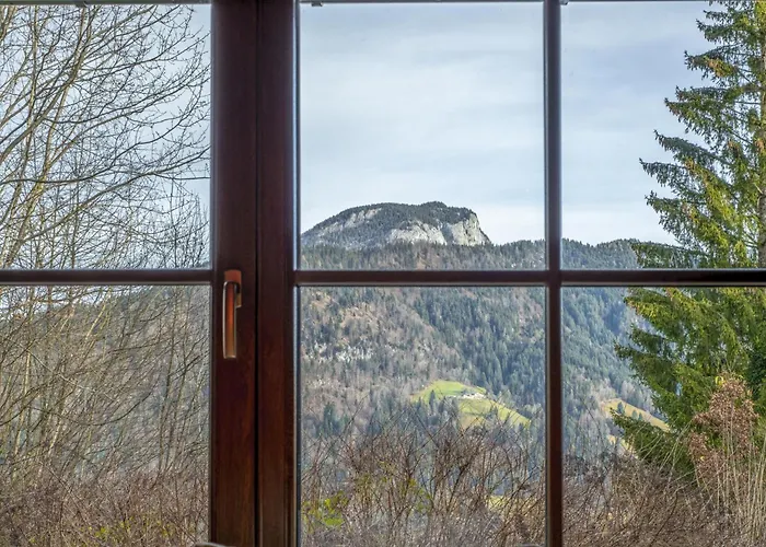 Yosi Im Brixental 沃格尔